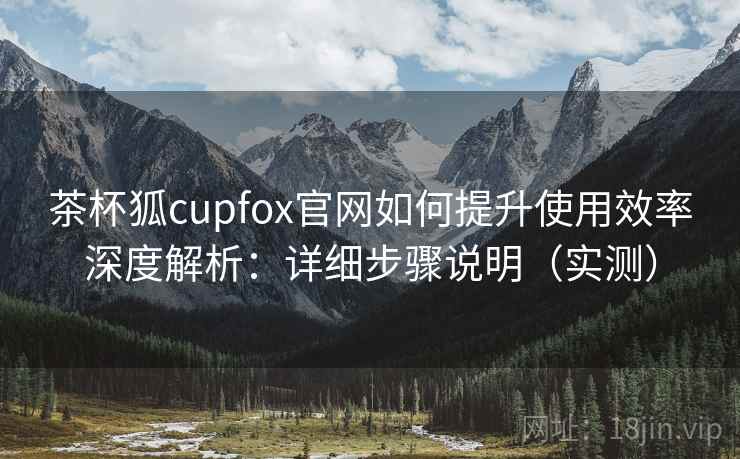 茶杯狐cupfox官网如何提升使用效率深度解析：详细步骤说明（实测）