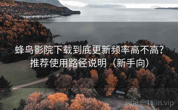 蜂鸟影院下载到底更新频率高不高？推荐使用路径说明（新手向）