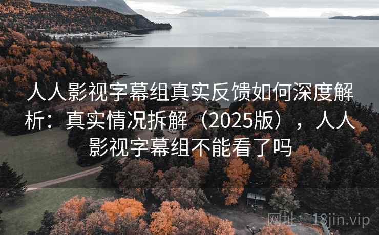 人人影视字幕组真实反馈如何深度解析：真实情况拆解（2025版），人人影视字幕组不能看了吗